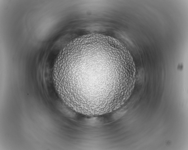 X0000091490430200709061905