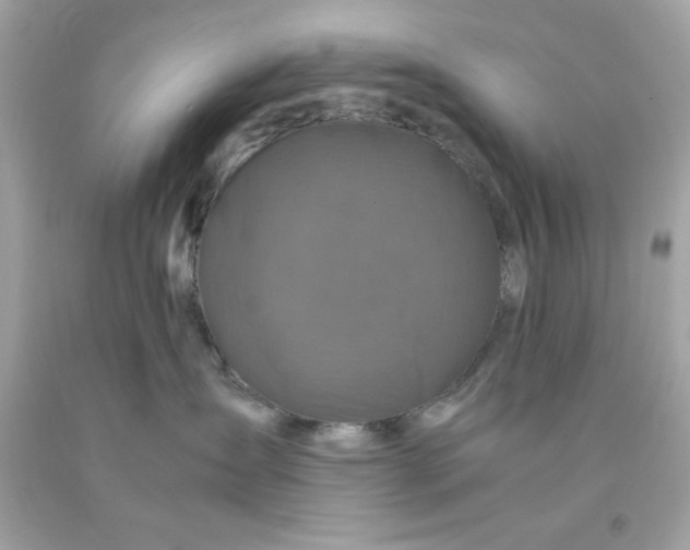 X0000091490431200709061905