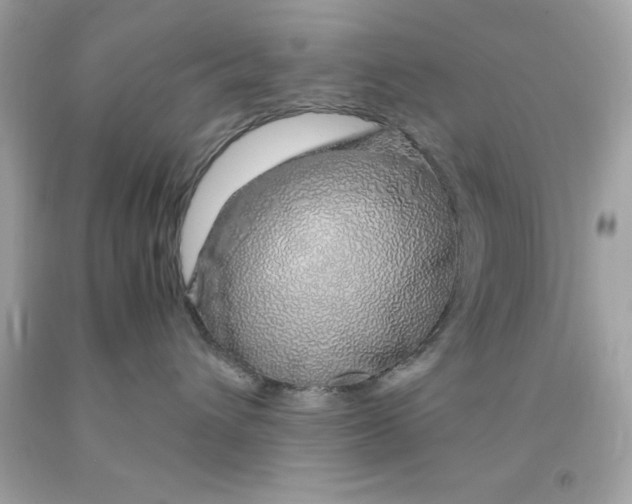 X0000091490432200709061905