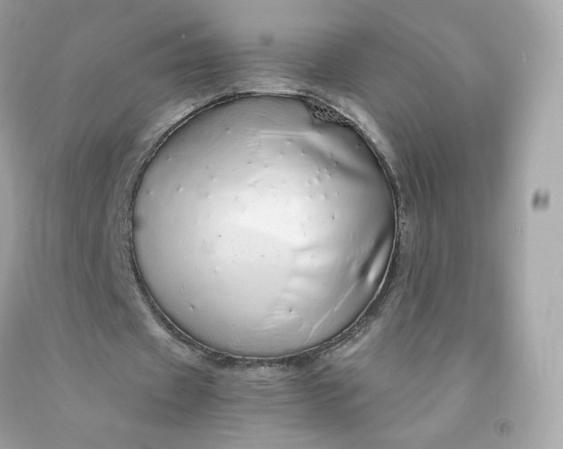 X0000091490433200709061904