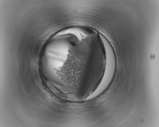 X0000091490434200709061904