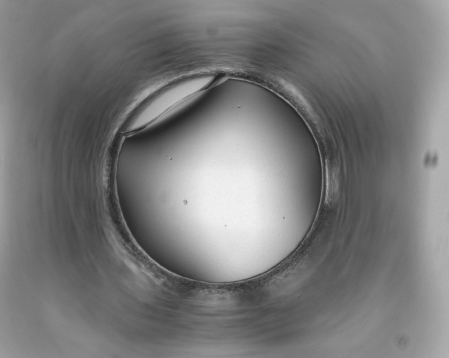 X0000091490435200709061904