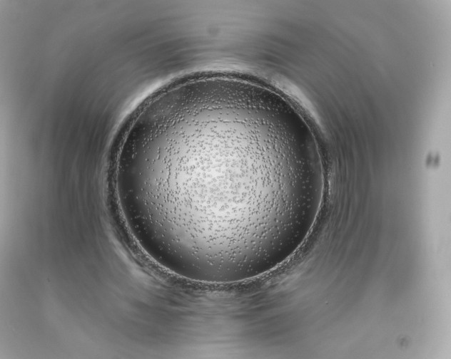 X0000091490436200709061904