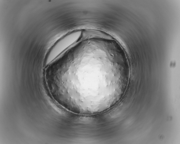 X0000091490437200709061904