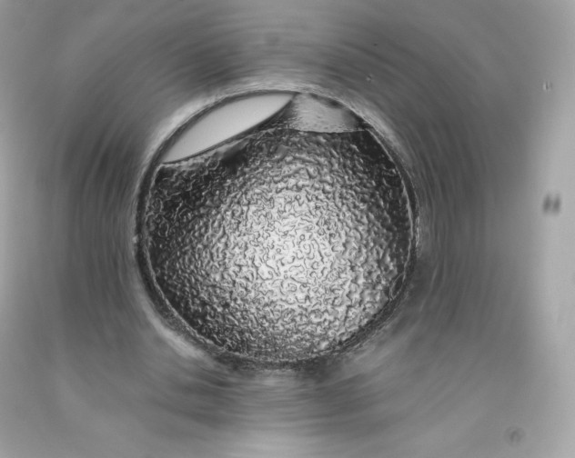 X0000091490438200709061904