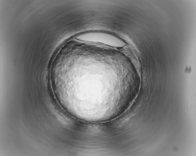 X0000091490439200709061904