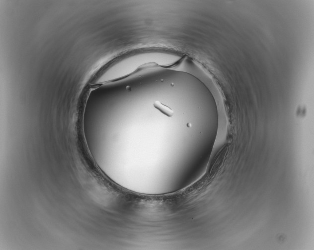 X0000091490440200709061904