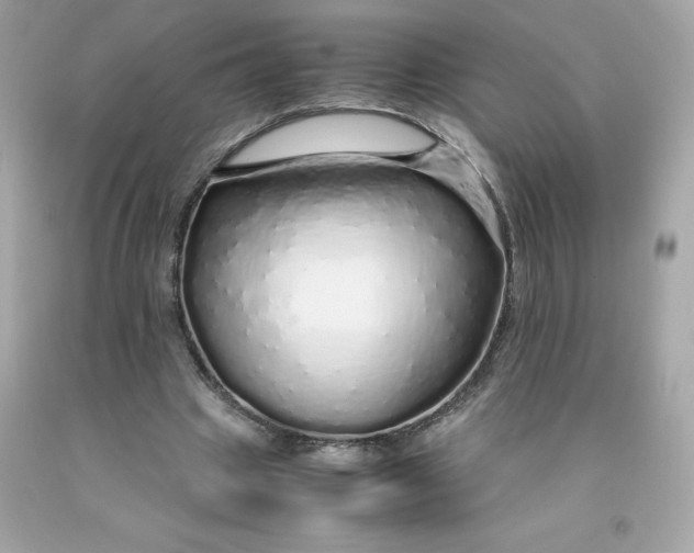 X0000091490441200709061904