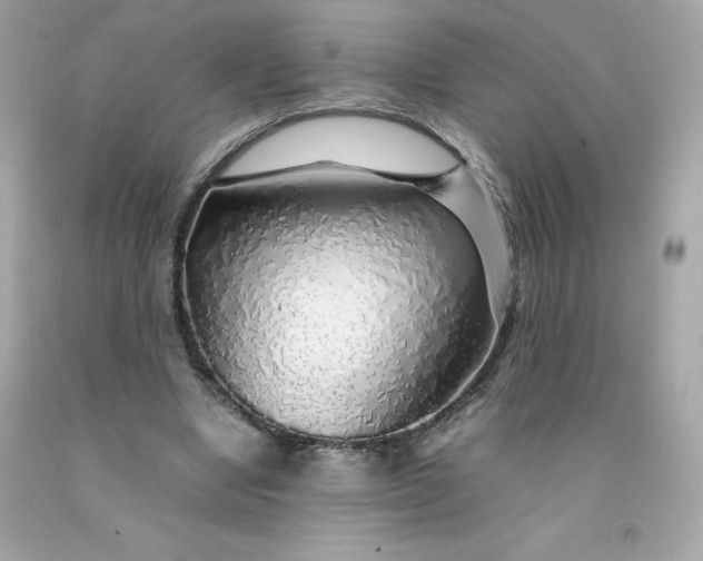 X0000091490442200709061904