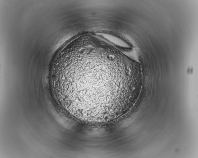 X0000091490443200709061904