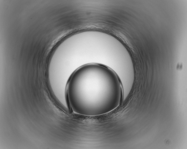 X0000091490444200709061904