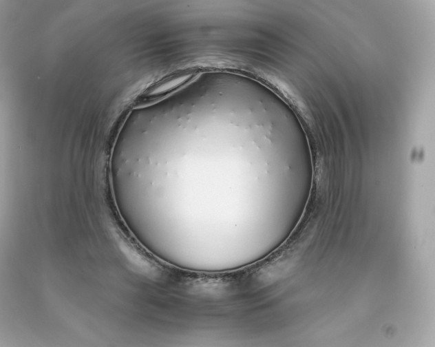 X0000091490445200709061904