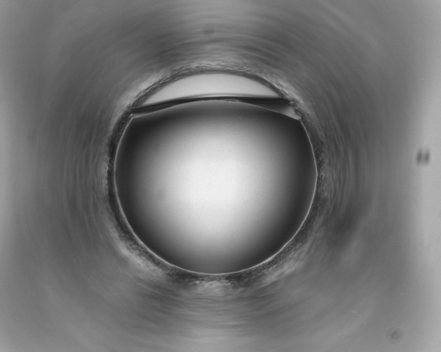 X0000091490446200709061904