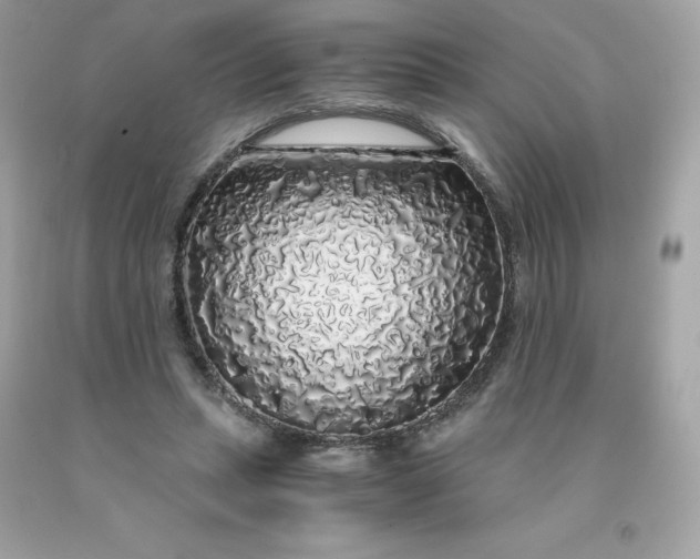 X0000091490447200709061904