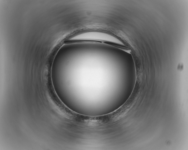 X0000091490448200709061904