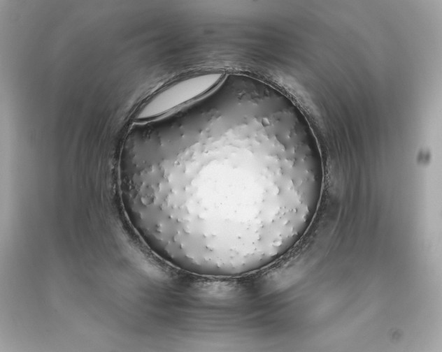 X0000091490449200709061904