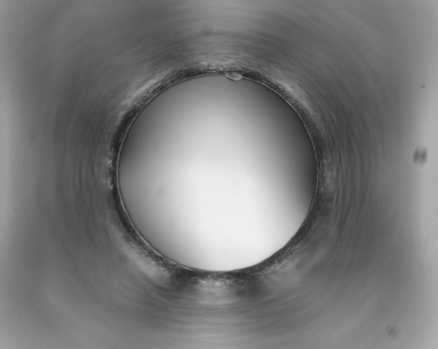 X0000091490450200709061904