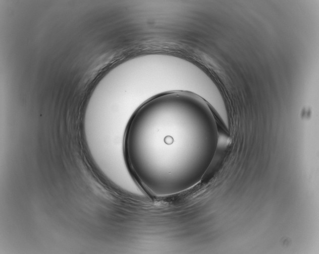 X0000091490452200709061904