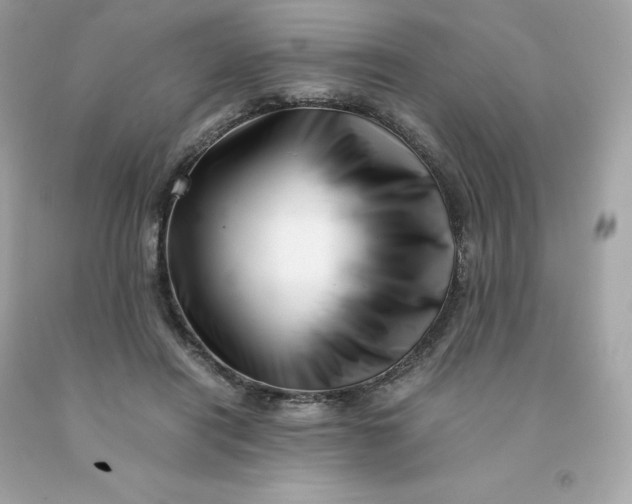 X0000091490454200709061904