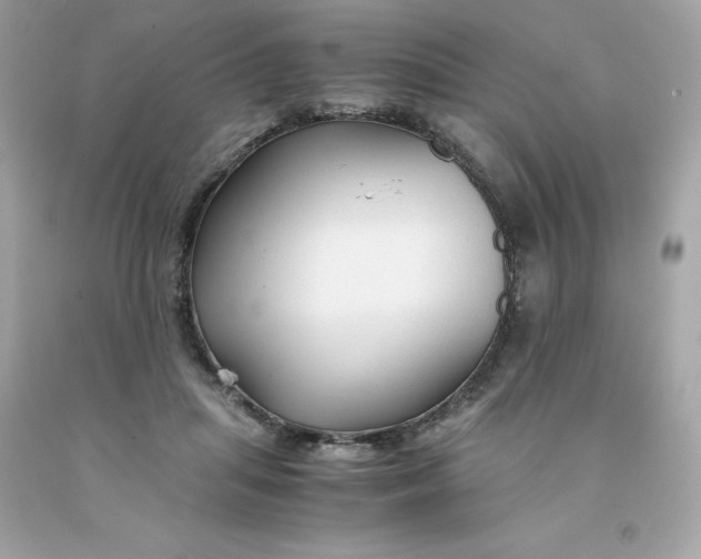 X0000091490455200709061904