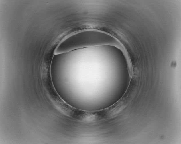 X0000091490456200709061904