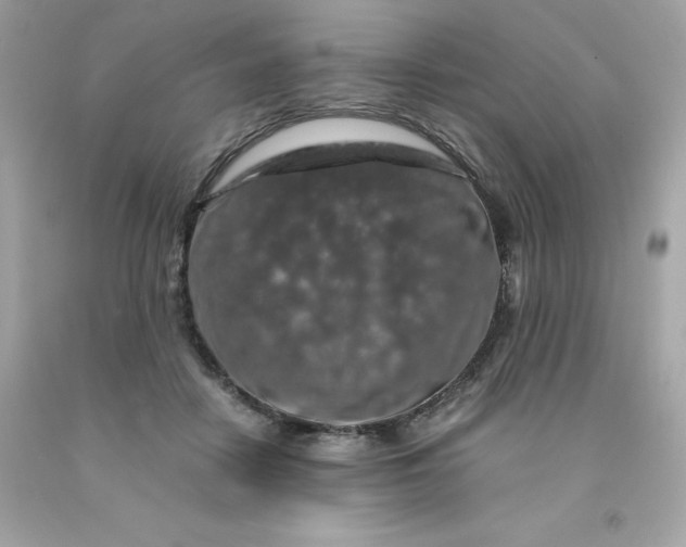 X0000091490458200709061904