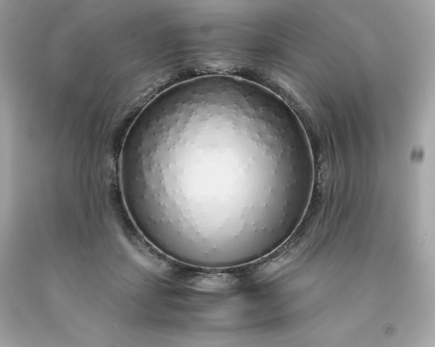 X0000091490459200709061904