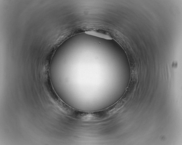 X0000091490460200709061904