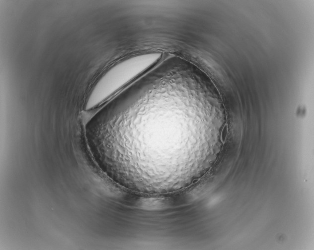 X0000091490461200709061904