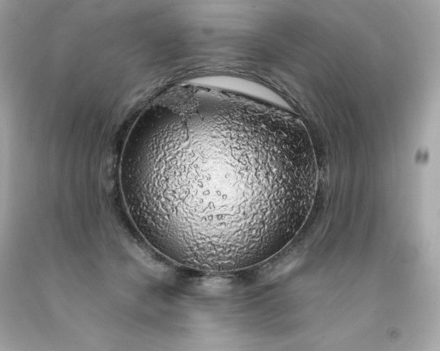 X0000091490462200709061904