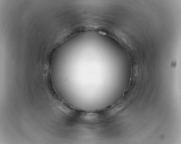 X0000091490463200709061904