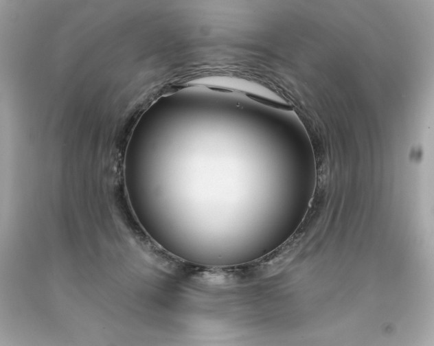 X0000091490464200709061904