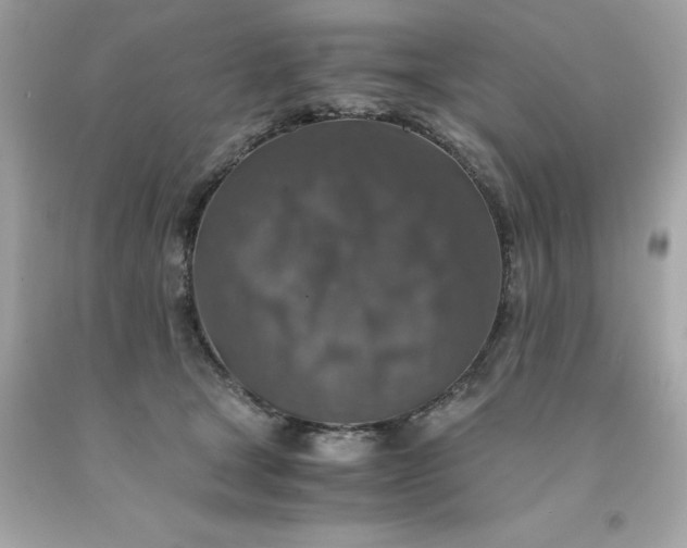 X0000091490465200709061904