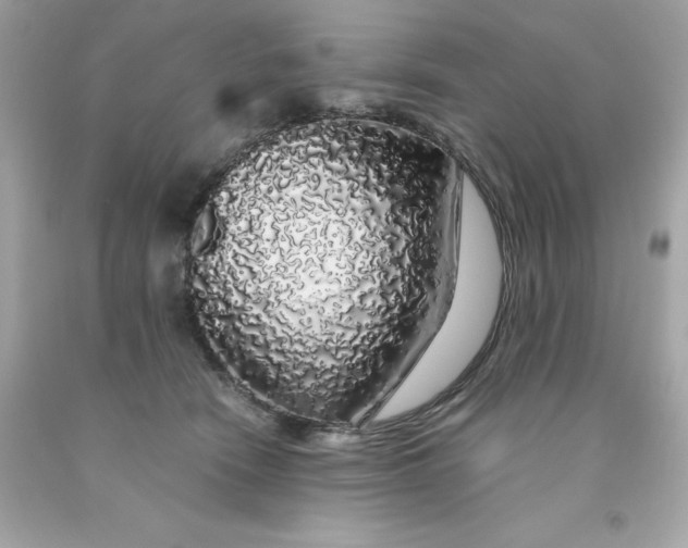 X0000091490466200709061904