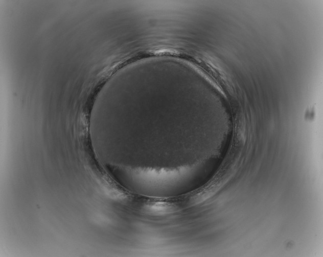 X0000091490467200709061904