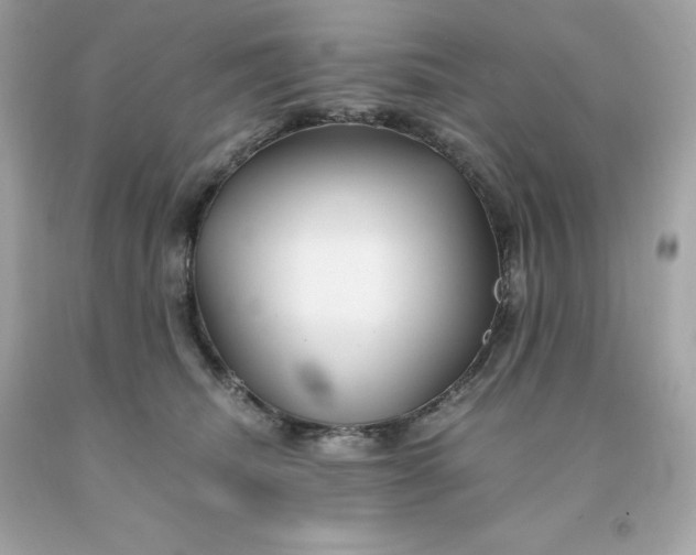 X0000091490468200709061904