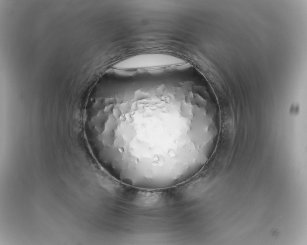 X0000091490469200709061904