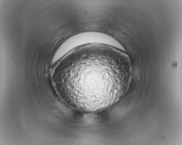 X0000091490470200709061904