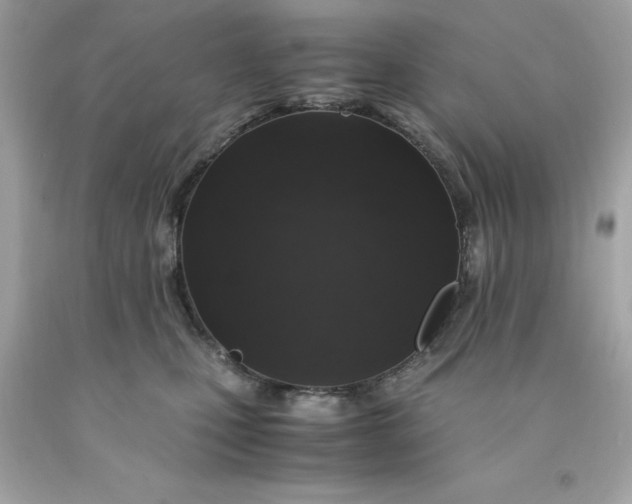 X0000091490471200709061904