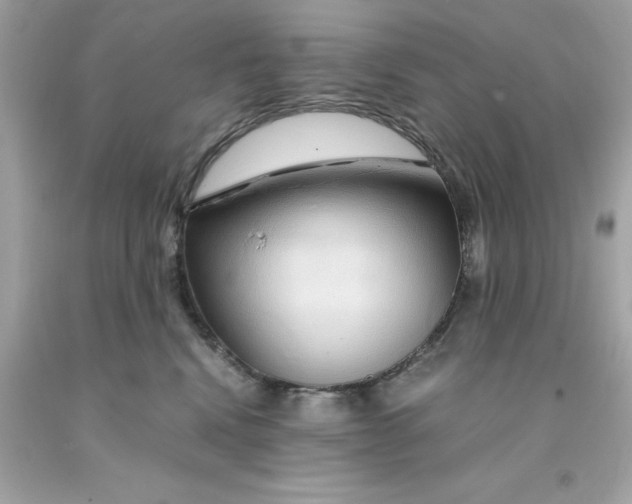 X0000091490472200709061904