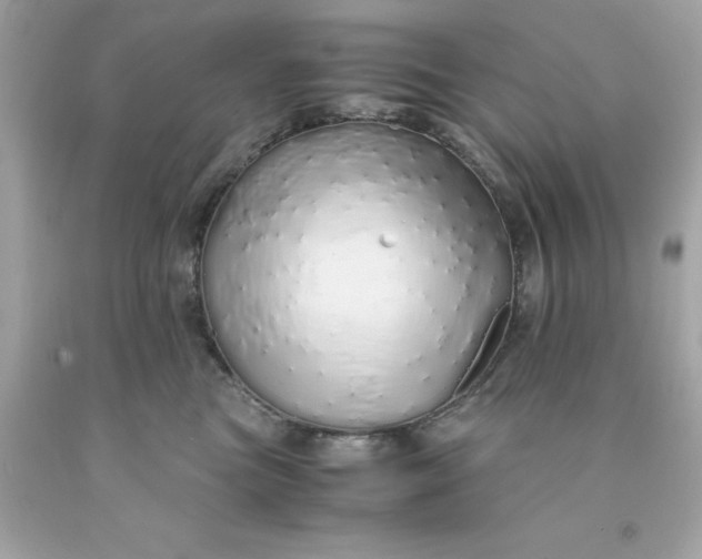 X0000091490473200709061904