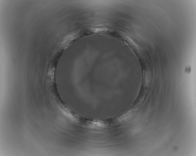 X0000091490475200709061905