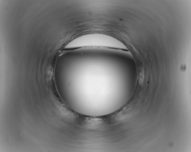 X0000091490476200709061905