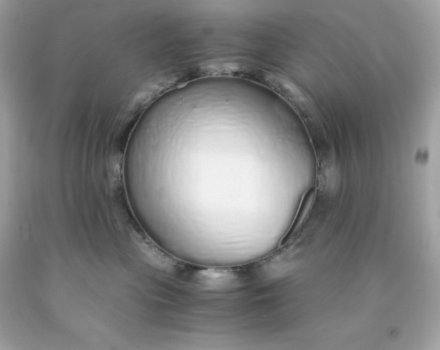 X0000091490477200709061905