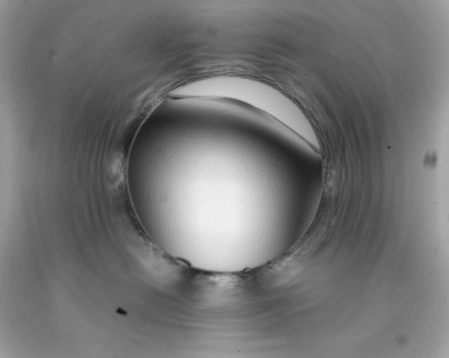 X0000091490478200709061905