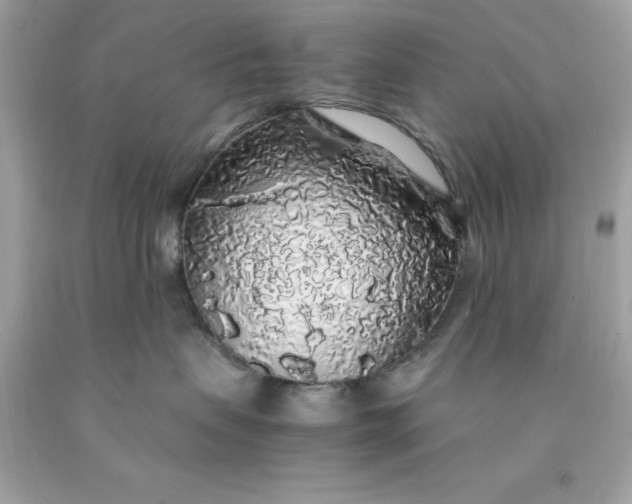 X0000091490479200709061905