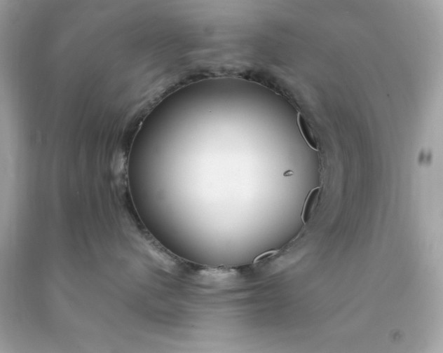 X0000091490480200709061905