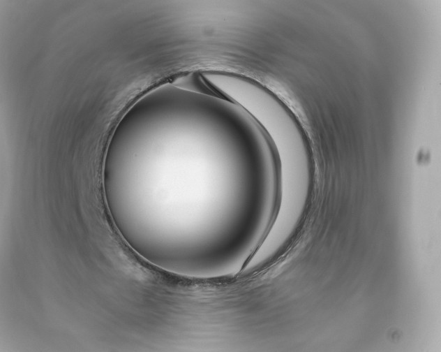 X0000091490481200709061904