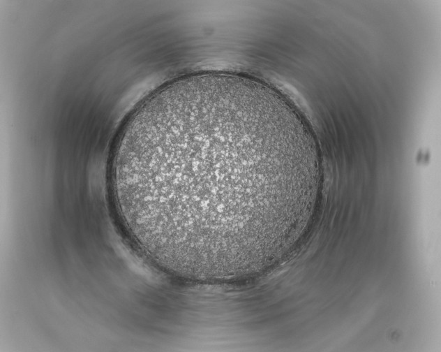 X0000091490482200709061904