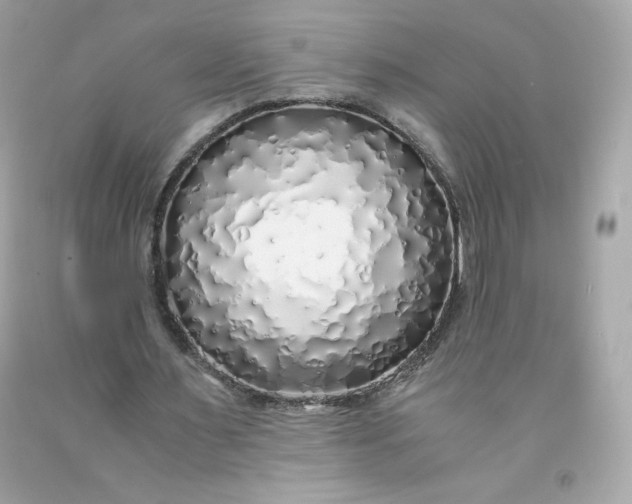 X0000091490483200709061904